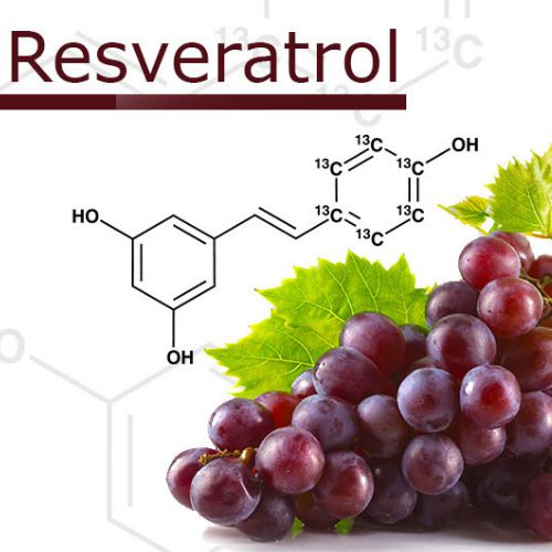 Resveratrol